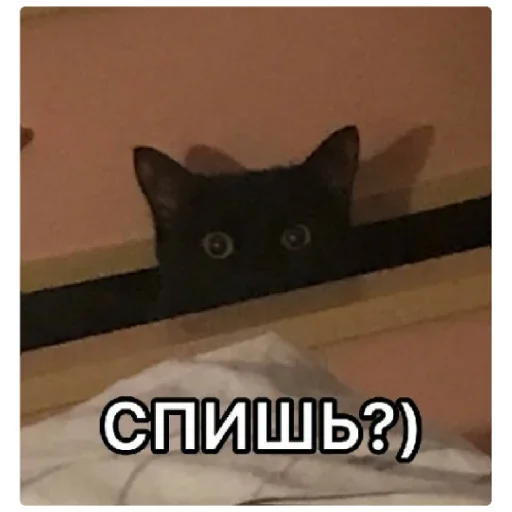 Sticker делала крыса?✌? - 8