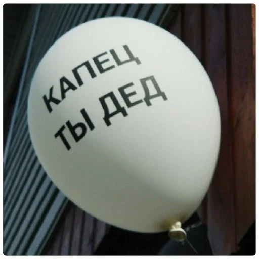 Sticker делала крыса?✌? - 0