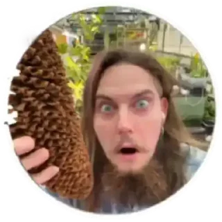 Стикер LisoPavlik - 6