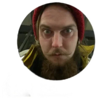 Стикер LisoPavlik - 3