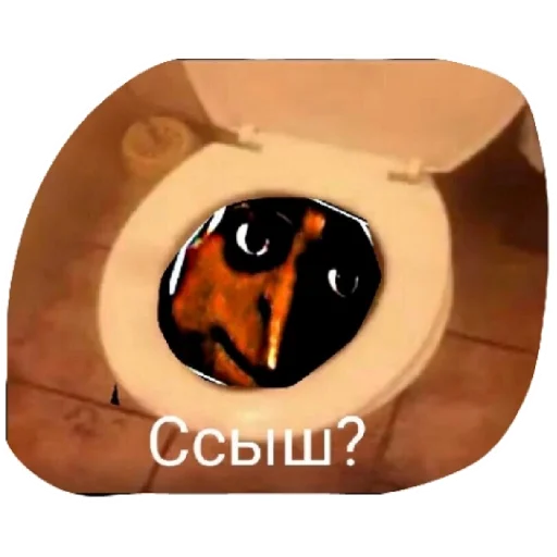 ванная туалет