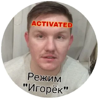 Sticker Braaaaazerss - 2