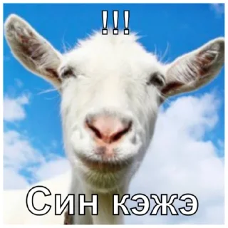 Стикер Татарабу - 7