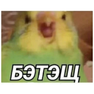 Стикер Татарабу - 3