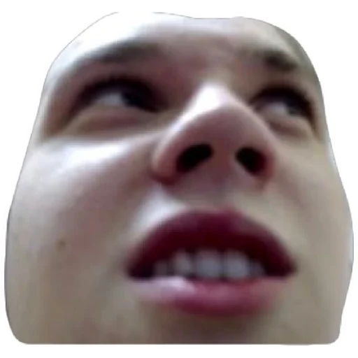 губа человеческое лицо челюсть