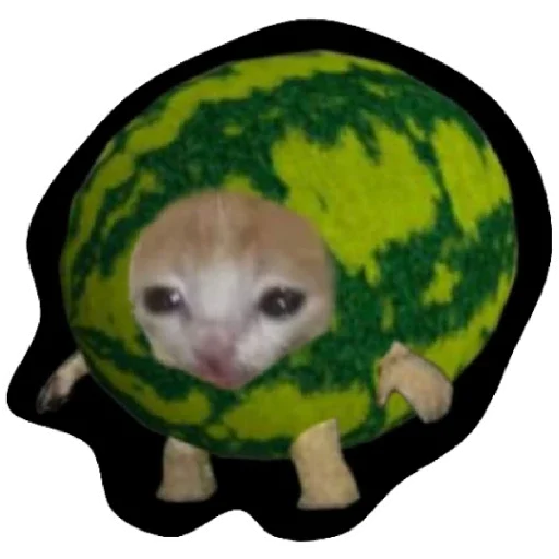 Sticker kudjimoshi pack - 11