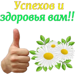 Sticker Микс - 4