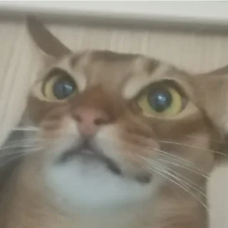 Sticker Ebaklashka - 6