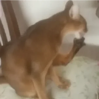 Sticker Ebaklashka - 1