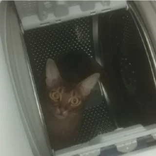 Sticker Ebaklashka - 11