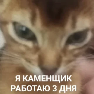 Sticker Ebaklashka - 3