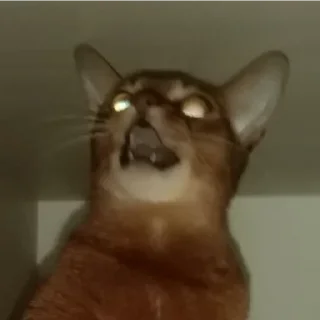 Sticker Ebaklashka - 9