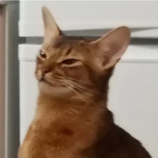 Sticker Ebaklashka - 8