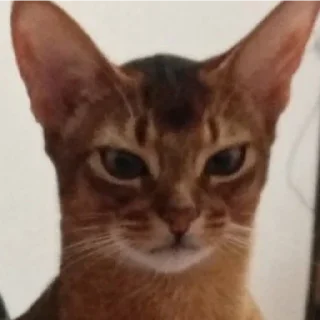 Sticker Ebaklashka - 4