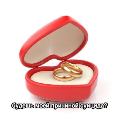 accessory fashion accessory case