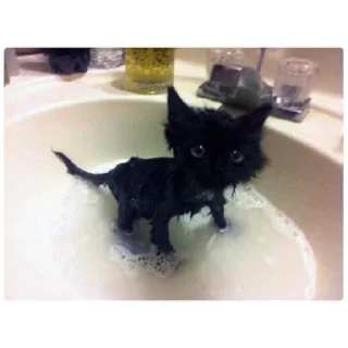 Стикер Мем - 4