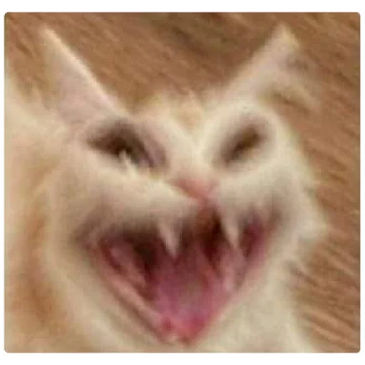 Стикер Мем - 2