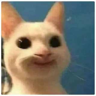 Стикер Мем - 5