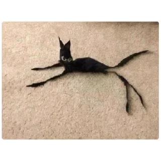 Стикер Мем - 0