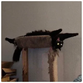 Стикер Мем - 9