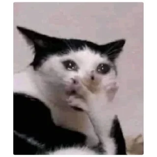 Стикер Мем - 10