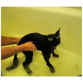 Стикер Мем - 3