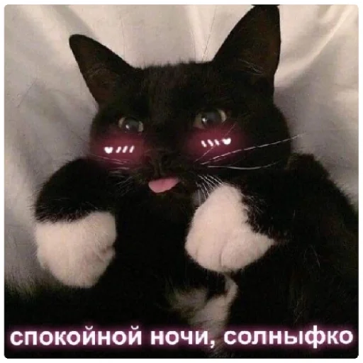 спокойной ночи❤️ - 