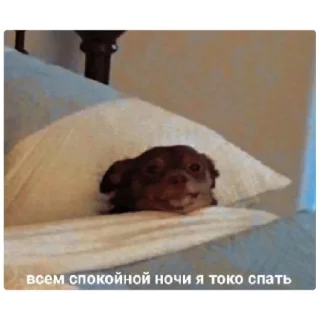 Sticker спокойной ночи❤️ - 1