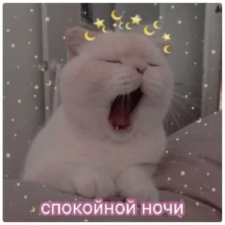 Sticker спокойной ночи❤️ - 3