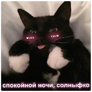 Sticker спокойной ночи❤️ - 0