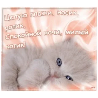 Sticker спокойной ночи❤️ - 2