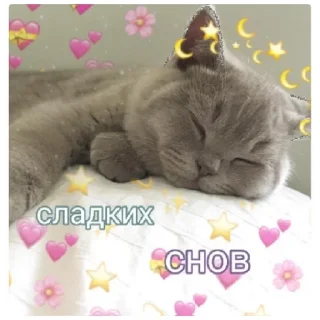 Sticker спокойной ночи❤️ - 7