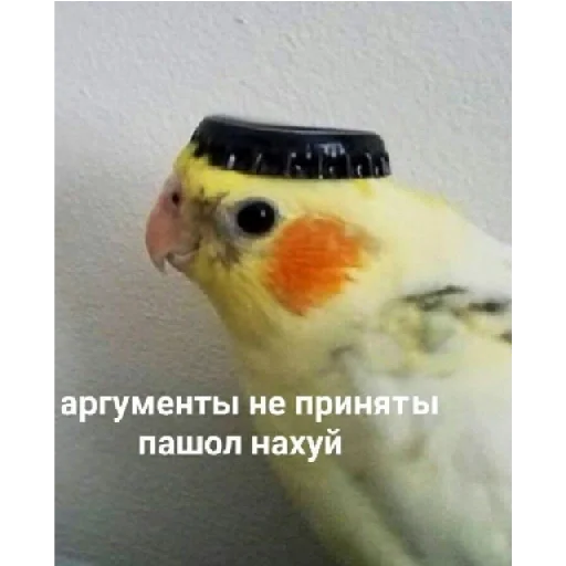 Sticker Бля пиздец - 0