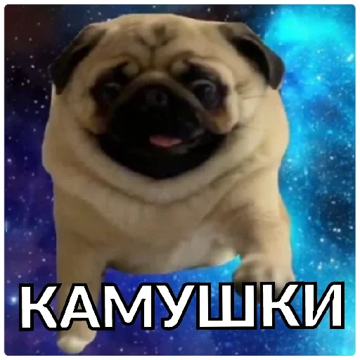 Sticker Pug Leonid - 6
