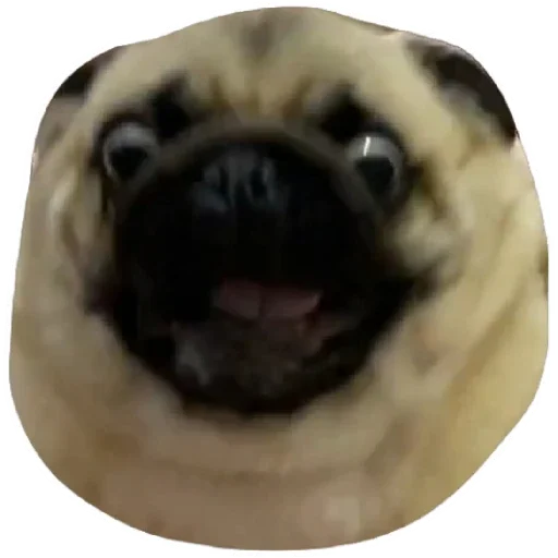 Sticker Pug Leonid - 1