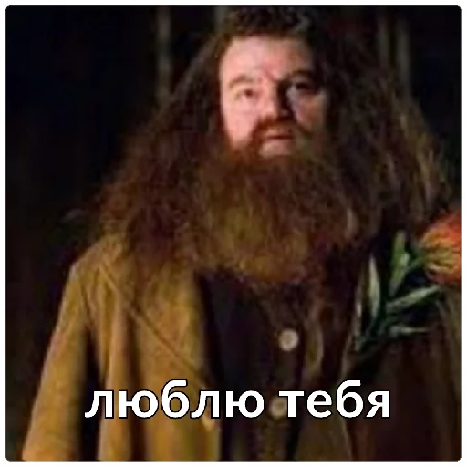 text human beard man