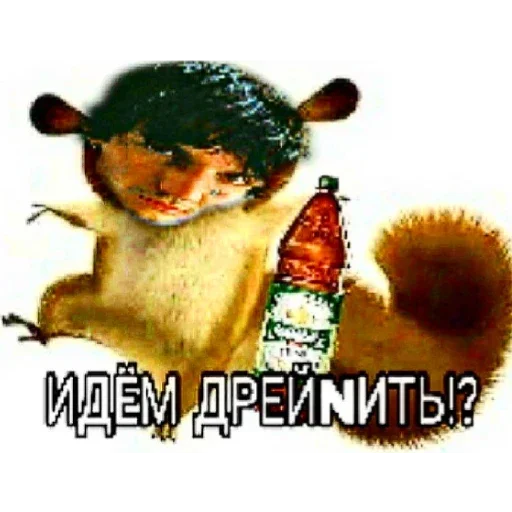 СМС млекопитающее обезьяна