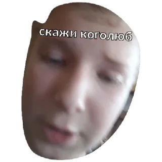 Sticker шева - 10