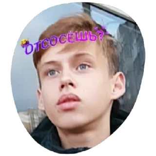 Sticker шева - 4