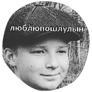 Sticker шева - 5