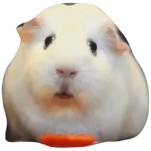 Камасутра2 - 