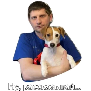 Стикер Protaxi - 7