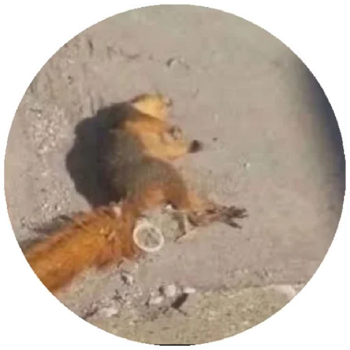 Геленджик 2022 - 