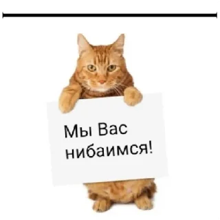 Стикер 1234 - 1