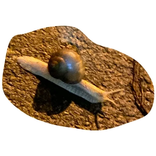 Sticker партачек - 5