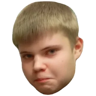 Sticker ВІЖАКи - 4