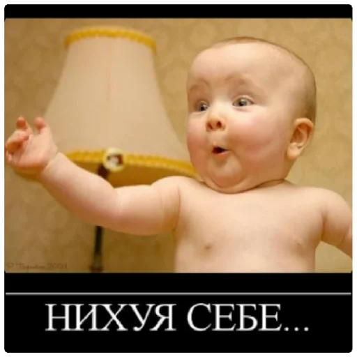 human face boy toddler