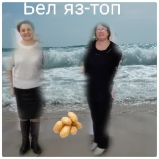 Стикер Sch199.0 - 10