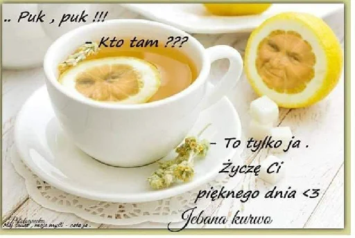 food serveware coffee cup