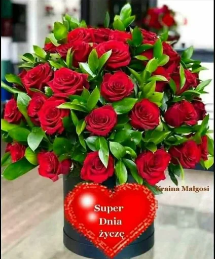 text rose cut flowers